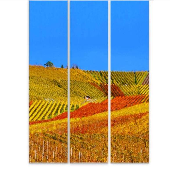 Flächenvorhang Weinberge  3er Set, Schiebegardine, Schiebegardinen, blickdicht, Flächenvorhang blickdicht, Schiebevorhang,